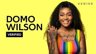 Domo Wilson quotBisexual Anthemquot Official Lyrics amp Meaning  Verified [upl. by Epuladaug]