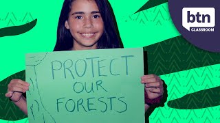 Rookie Reporter Yindali Explains Why Forests Are Important [upl. by Sedruol]