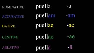 The First Declension in Latin Made Simple [upl. by Leahplar644]