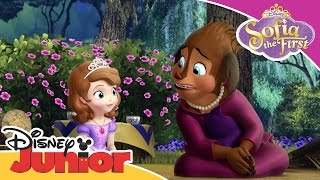 Sofia the First  Princess Charlotte  Official Disney Junior Africa [upl. by Nohtanhoj]