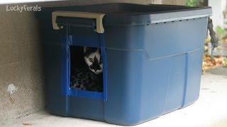 Making Another DIY Feral Cat Shelter For Outdoor Cats [upl. by Fridlund716]