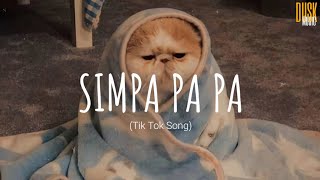 Simpa Pa Pa Симпа  Vuong Ngoc Manh  Vietsub  Lyric Tik Tok Song [upl. by Adniroc813]