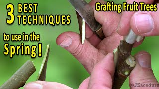 Grafting Fruit Trees  The 3 BEST Grafting Techniques for SPRING [upl. by Eaton]