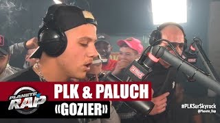 PLK quotGozierquot ft Paluch PlanèteRap [upl. by Etakyram]