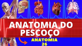 ANATOMIA DO PESCOÇO ANATOMIA HUMANA  ESTRUTURAS DO PESCOÇO E ANATOMIA [upl. by Ardnek]