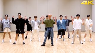 SEVENTEEN  WORLD Dance Practice Mirrored 4K [upl. by Romina]