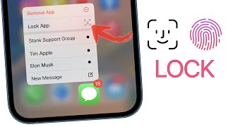 How to Lock Apps on iPhone [upl. by Devehcoy919]