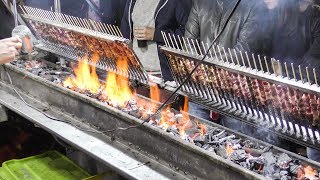 Grilling Lamb Skewers Faster with an Hair Dryer Italian Street Food Traditional Arrosticini [upl. by Esinrahs407]