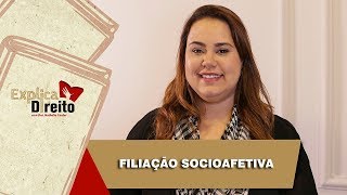 Explica Direito Filiação Socioafetiva  2019 [upl. by Xenia]