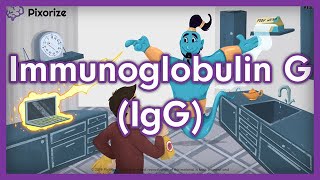 Immunoglobulin G IgG USMLE Mnemonic [upl. by Ugo]