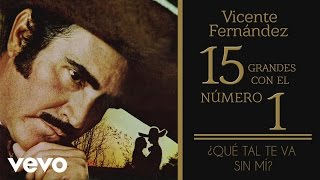 Vicente Fernández  Qué Tal Te Va Sin Mí Tema Remasterizado Cover Audio [upl. by Ysteb]