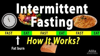 Intermittent Fasting  How it Works Animation [upl. by Ellsworth]