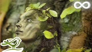 Dance of Life Relaxing Celtic Music for Meditation amp Sleep by Peder B Helland [upl. by Ecnatsnoc527]