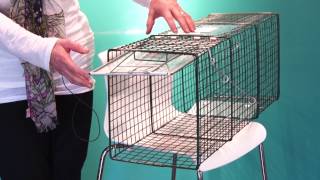 How to Set a Feral Cat Trap  Spay Neuter Charlotte [upl. by Yma]