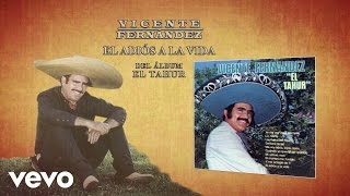 Vicente Fernández  El Adiós a la Vida Cover Audio [upl. by Galvin843]