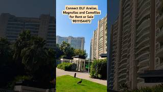 DLF THE CAMELLIAS GURGAON [upl. by Lomasi371]