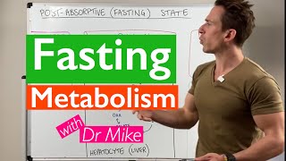 Fasting  What does it do to your body [upl. by Nerehs]