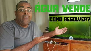 COMO ACABAR COM A ÁGUA VERDE EM AQUÁRIO TRATAMENTO COMPLETO [upl. by Onailimixam]