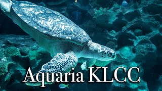 aquaria KLCC in Kuala Lumpur  Largest Aquarium in Malaysia【Full Tour in 4k】 [upl. by Hank526]