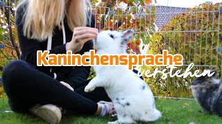 Kaninchensprache verstehen  Teil 1 [upl. by Bikales]