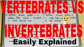 Vertebrates vs InvertebratesDifference between vertebrates amp invertebratesVertebrate invertebrate [upl. by Brill]