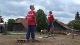 Hornussen  the sport of Swiss farmers [upl. by Tartaglia]