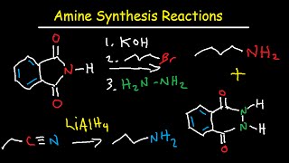 Amine Synthesis Reactions Organic Chemistry  Summary amp Practice Problems [upl. by Eynaffit]