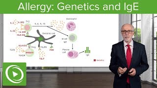 Allergy Genetics and IgE – Immunology  Lecturio [upl. by Golter]