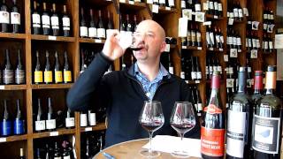 What are the differences between Pinot Noir Cabernet and Merlot  Tell me Wine TV [upl. by Iderf]