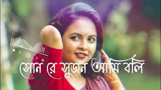 শোনরে সুজন আমি বলি যে তোরে  Son re Sujon Ami boli Je tore  Slowed Reverb  Viral Song [upl. by Natloz582]