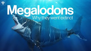 The Truth Behind Why Megalodon Went Extinct  Encyclopaedia Britannica [upl. by Atinaw379]