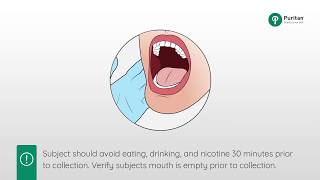 How to Collect a Buccal Swab Sample [upl. by Wallie974]