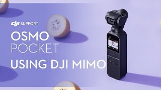 How to Use Osmo Pockets DJI Mimo App [upl. by Small]