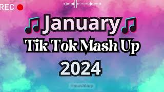 TikTok Mashup 2024 🎵 [upl. by Audry]