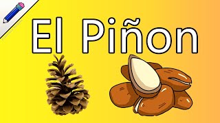 Propiedades medicinales del Piñón fruto del pino [upl. by Onimixam]