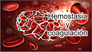 Fisiología  Hemostasia y Coagulación [upl. by Yenterb]