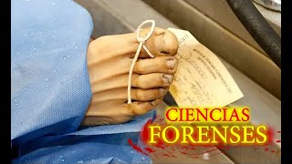 Así son las Ciencias Forenses [upl. by Spark]