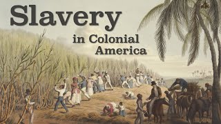 Slavery in Colonial America Explained [upl. by Campball]