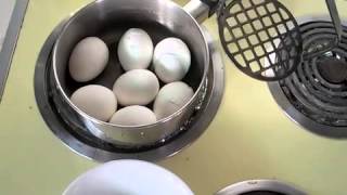 How To Boil Eggs EasyPeel  Shell falls right off the cooked egg [upl. by Josephson244]