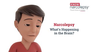 Narcolepsy What’s Happening in the Brain [upl. by Ajram918]