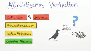 Altruistisches Verhalten  Biologie  Neurobiologie und Verhalten [upl. by Slorac]