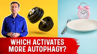 Autophagy Exercise vs Fasting [upl. by Rickey]