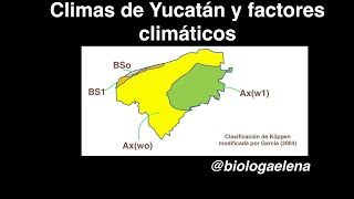 Tipos de clima en Yucatán y factores climáticos [upl. by Ynamad]