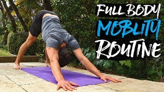 15 Minute Full Body Mobility Routine FOLLOW ALONG [upl. by Iramaj]