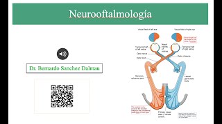 Patología del Nervio Óptico [upl. by Alinoel]