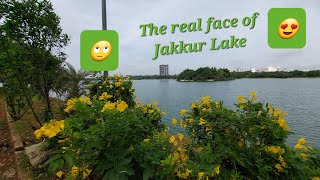 The real face of Jakkur Lake Bengaluru [upl. by Snebur]