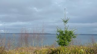 Fort Worden Historical State Park  Port Townsend WA [upl. by Eustasius]