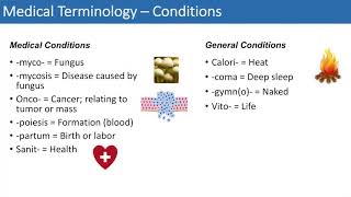 Medical Terminology  The Basics  Lesson 4 [upl. by Rebm]