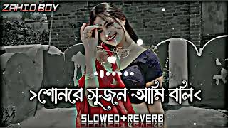 Sonre sujon ami boli je tore  শোনরে সুজন আমি বলি যে তোরে  Slowed Reverb Lofi Song [upl. by Billi629]