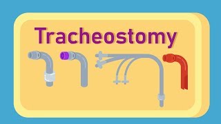 Trachedostomy Site Care [upl. by Alberto]